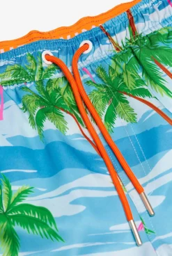 Heren OppoSuits Zwembroeken|Flaminguy