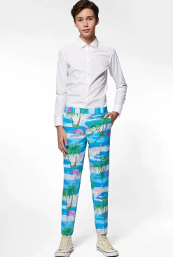 OppoSuits Carnavals Pakken|Flaminguy