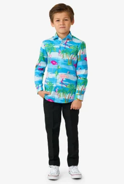 OppoSuits Casual Overhemden|Flaminguy