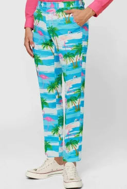 Heren OppoSuits Vrijgezellenfeest Pakken|Carnavalspakken|Flaminguy