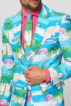 Heren OppoSuits Vrijgezellenfeest Pakken|Carnavalspakken|Flaminguy